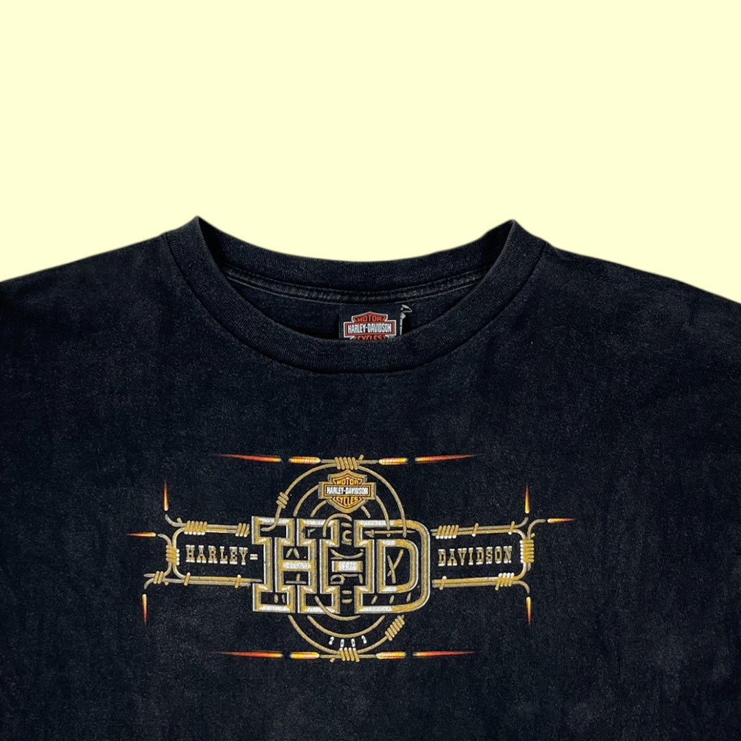 Vintage Harley Gettysburg battlefield t-shirt - XL