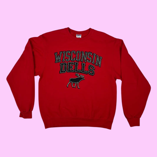 Vintage Wisconsin Dells sweater - M