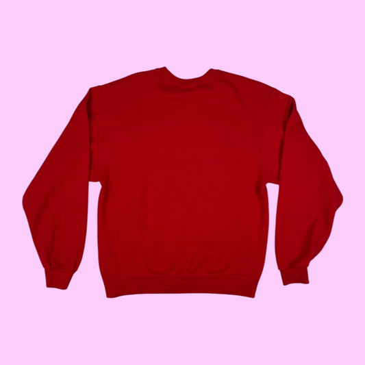 Vintage Wisconsin Dells sweater - M