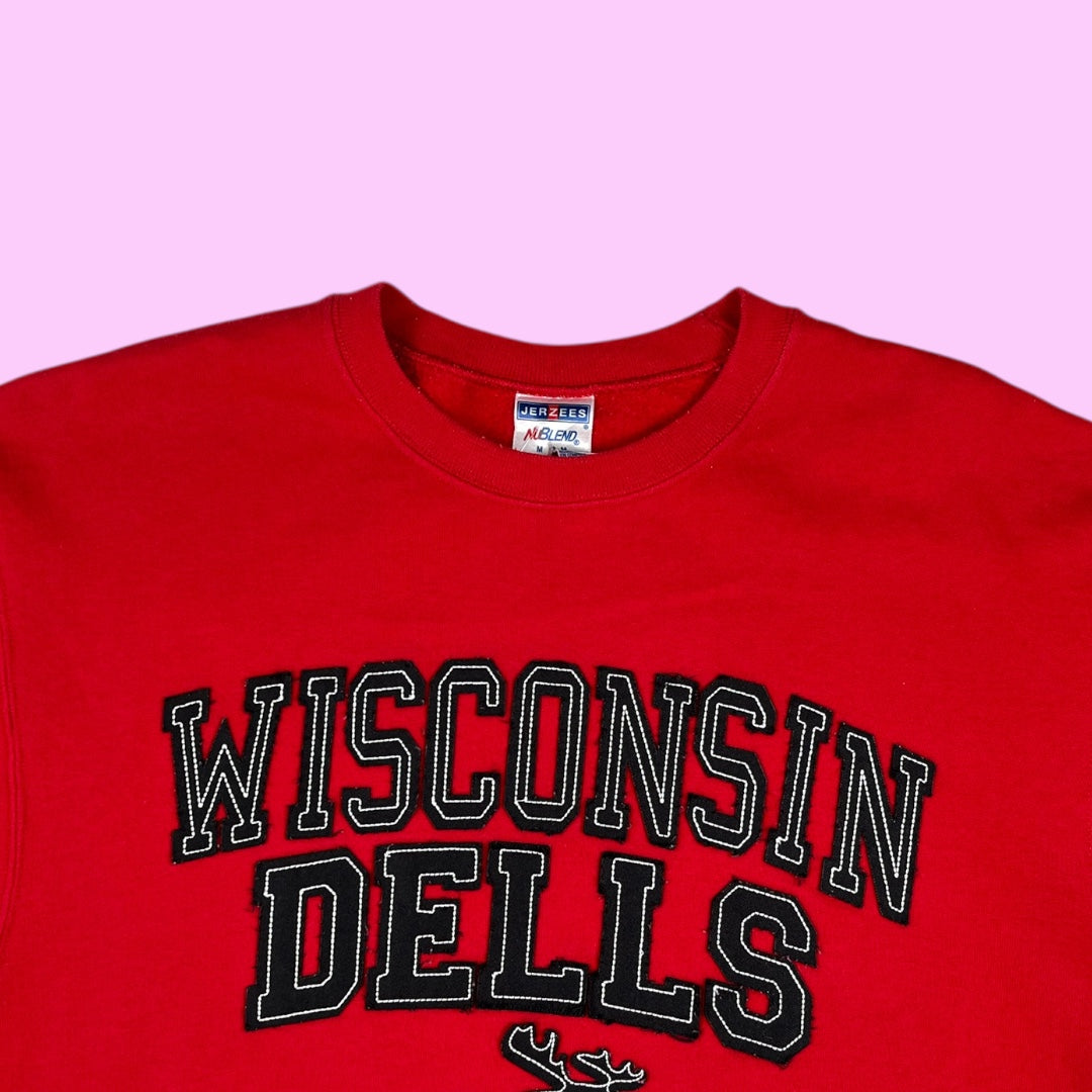 Vintage Wisconsin Dells sweater - M